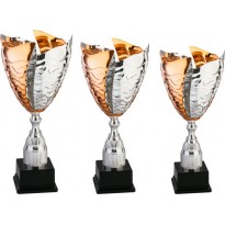 Series of 3 trophies