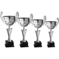 Serie di 4 Trofei