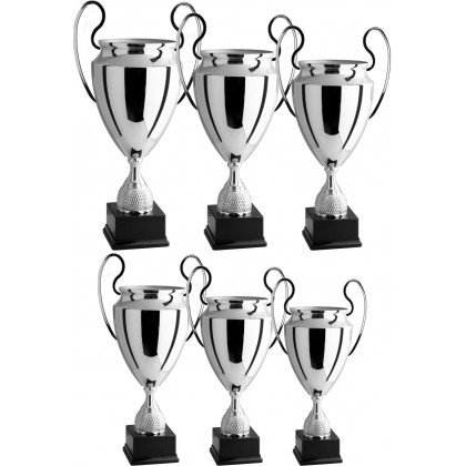 cod. 1.009 - Serie di 6 Trofei da cm 64 a 36 Made in Italy