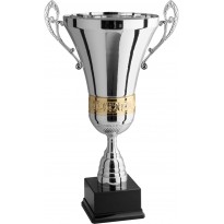 Trofeo con manici cm 62