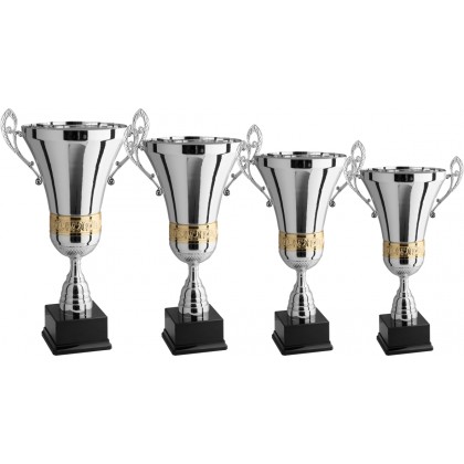 cod. 1.099 - Serie di 4 Trofei da cm 62 a 46