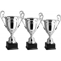 Serie di 3 trofei cm 61-57-52