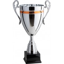 Trofeo con manici cm 38