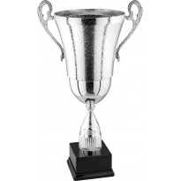 Trofeo con manici cm 59