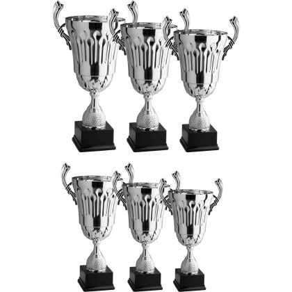 cod. 3.079 - Serie di 6 Trofei da cm 62 a 35 Made in Italy