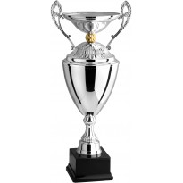 Trofeo con manici cm 53