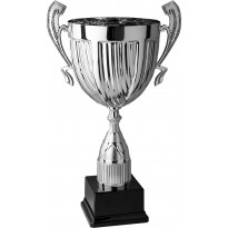 Trofeo con manici cm 49