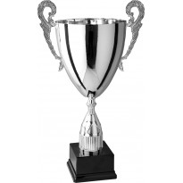 Trofeo con manici cm 36