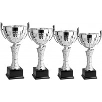Serie di 4 trofei cm 42-38-34-32