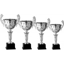 Series of 4 trophies