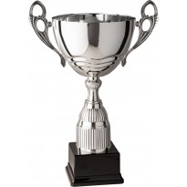 Trofeo con manici cm 27