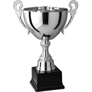 cod. 7.263 - Trofeo con manici cm 29 Made in Italy