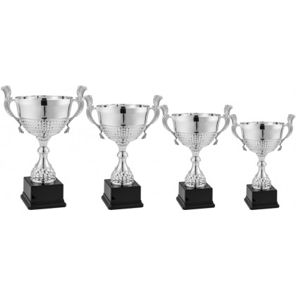 cod. 7.509 - Serie di 4 trofei cm 38-33-29-27 Made in Italy