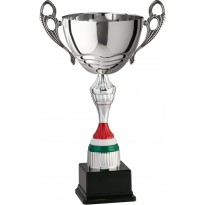 Trofeo con manici cm 44