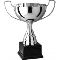 Trofeo con manici cm 28