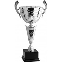 Trofeo con manici cm 37