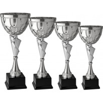 Serie di 4 trofei cm 44-41-38-34