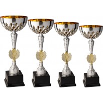 Serie di 4 coppe cm 44-41-38-36