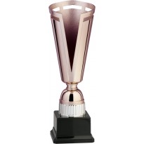 Trofeo cm 30 bronze