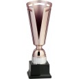 cod. 8.633 - Trofeo cm 30 bronze