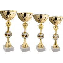 Serie di 4 coppe volley cm 44-40-36-32