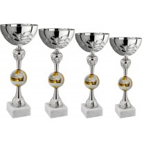 Serie di 4 coppe volley cm 44-40-36-32