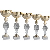 Serie di 5 coppe cm 36-34-32-31-28