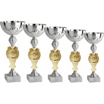 Serie di 5 coppe cm 36-34-32-31-28