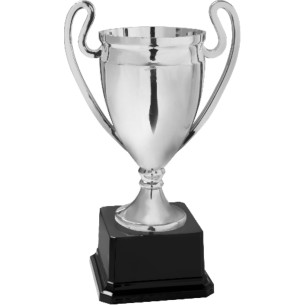 cod. 12.993.6 - Coppa cm 20 - m6