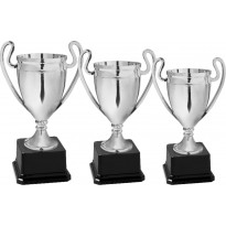 Serie di 3 coppe cm 25-22-20 f5