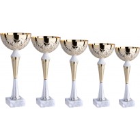 Serie di 5 coppe cm 35-33-30-27-25 f5