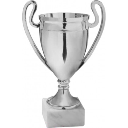 cod. 13.571.6 - Coppa cm 22 - m6