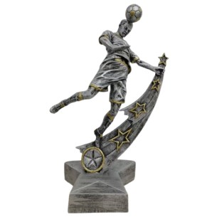 cod. 14.532 - Trofeo calcio cm 25