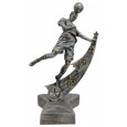 cod. 14.532 - Trofeo calcio cm 25