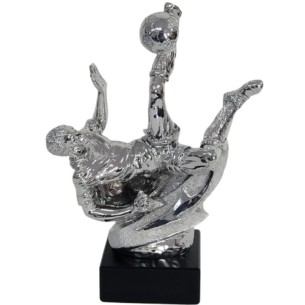 cod. 14.550C - Trofeo calcio cm 26 Made in Italy