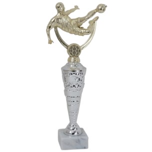 cod. 15.288A - Trofeo calcio cm 34