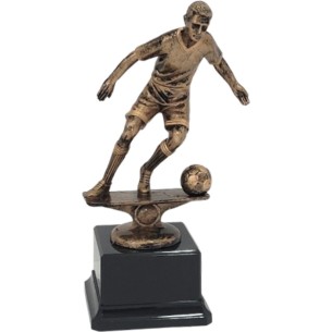 cod. 15.291A - Trofeo calcio cm 24