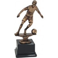 Trofeo calcio cm 17