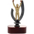 cod. 16.040 - Trofeo auto cm 19