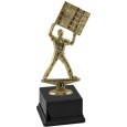cod. 16.043 - Trofeo auto cm 17