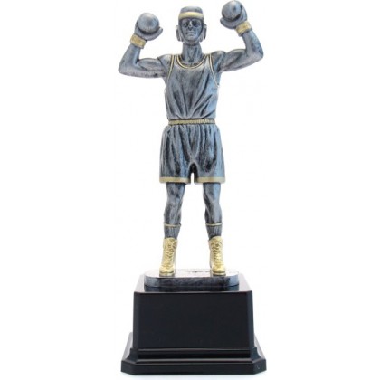 cod. 16.487A - Trofeo pugilato cm 26