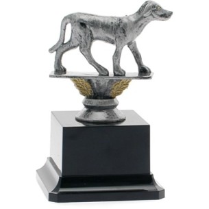 cod. 16.496A - Trofeo cane cm 13