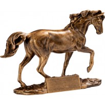 Trofeo cavallo cm 13x20