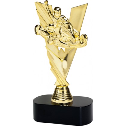 cod. 16.535A - Trofeo go-kart cm 22