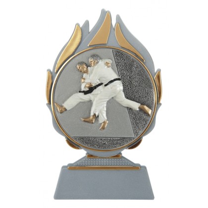cod. 17.006 - Trofeo judo cm 14