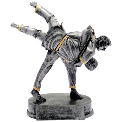 cod. 17.008 - Trofeo judo cm 16