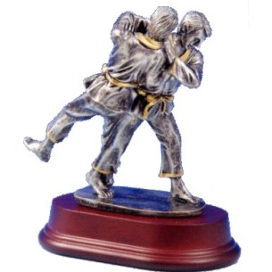cod. 17.009 - Trofeo judo cm 18