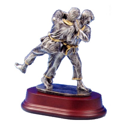 cod. 17.009 - Trofeo judo cm 18