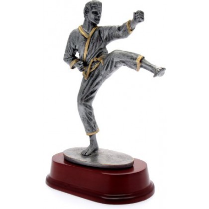 cod. 17.226 - Trofeo karate cm 23
