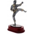 cod. 17.226 - Trofeo karate cm 23